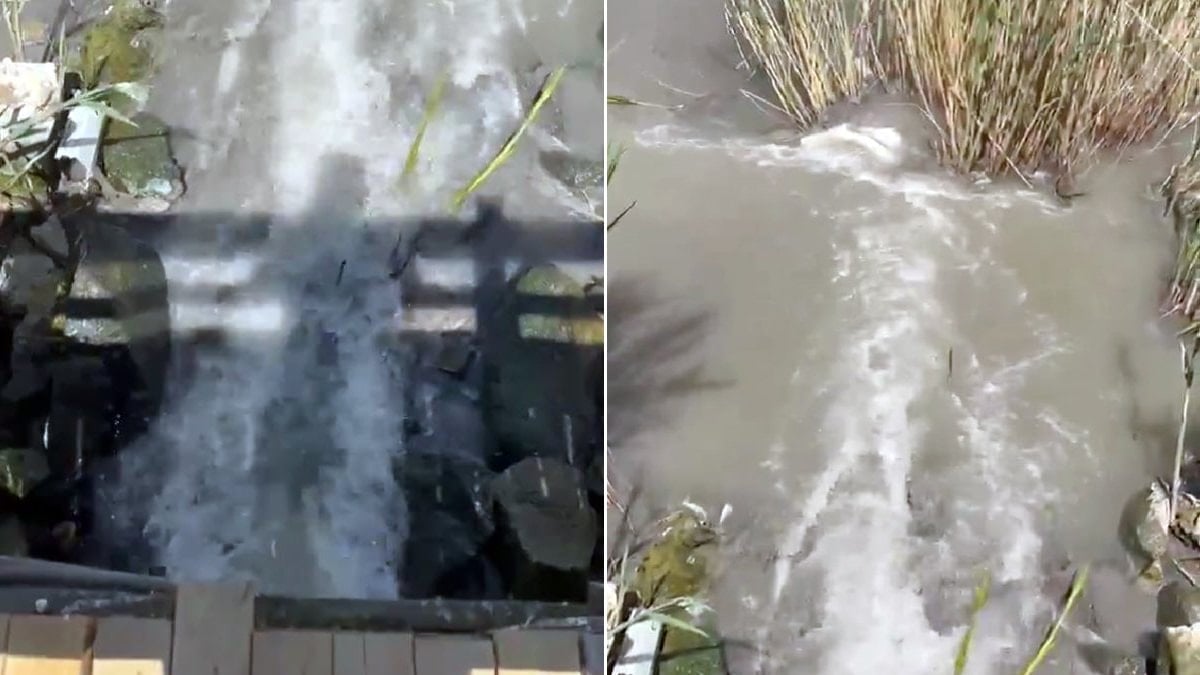 Mogan Gölü'ne atık su deşarj eden Ankara Büyükşehir Belediyesi'ne 1.6 milyonluk ceza