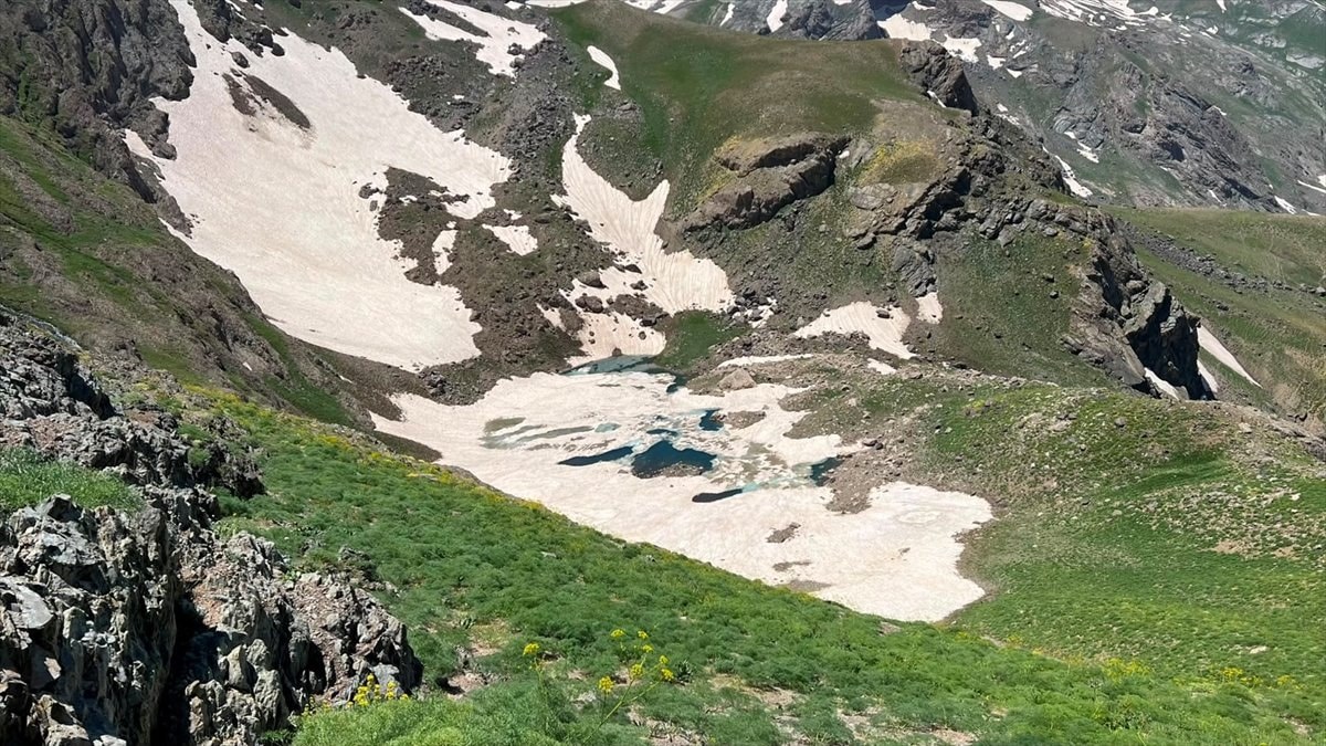 Cilo Dağları'nda kaybolan dağcı için zamanla yarış