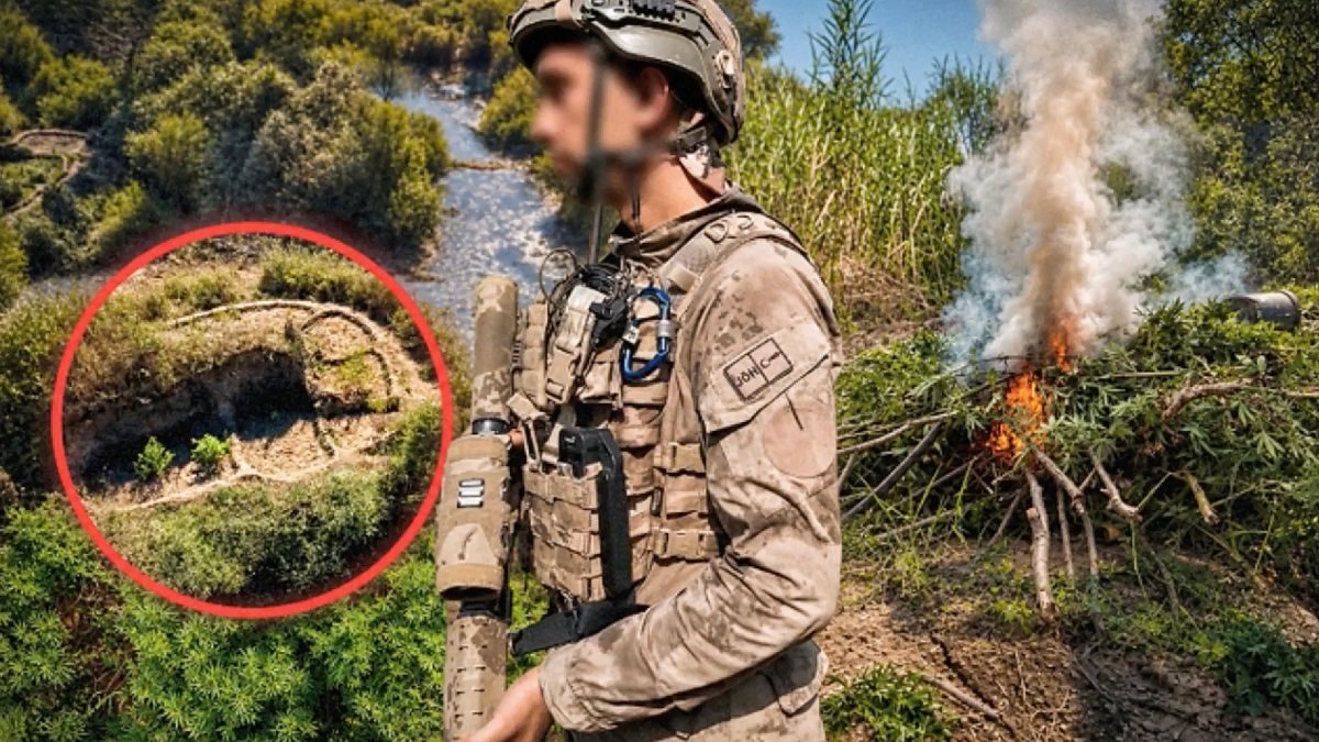 Diyarbakır'da yasa dışı kenevir operasyonu: 10 gözaltı