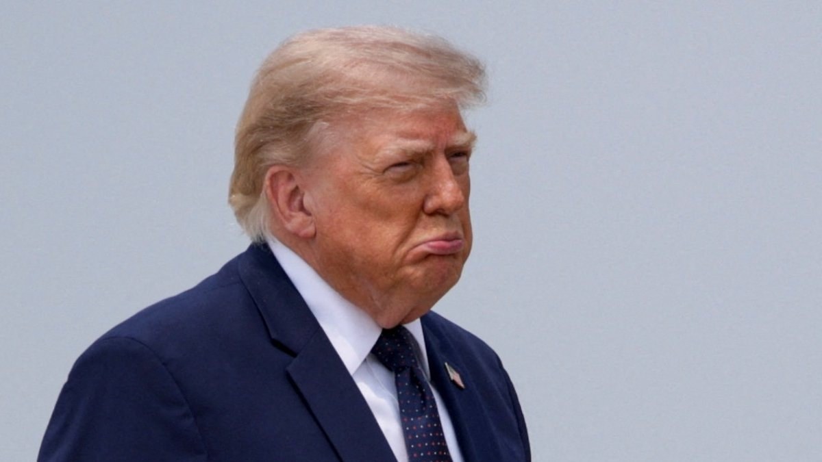 Donald Trump, Kanada'yı yangınlara karşı önlem almamakla suçladı