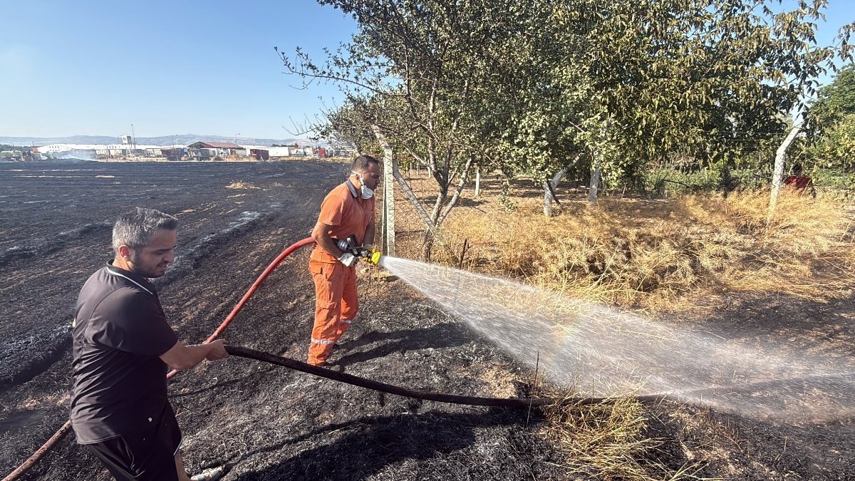 Eskişehir'de anız yangını çıktı