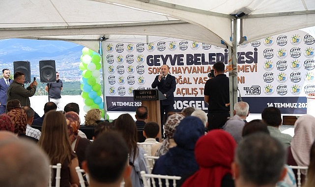 Geyve'de Sokak Hayvanları İçin de Yeni Dönem Başladı