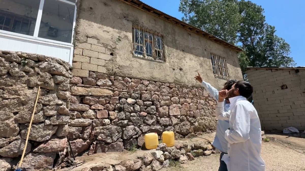 Hakkari'de yılanlı ev kabusu: Aileden yardım çağrısı