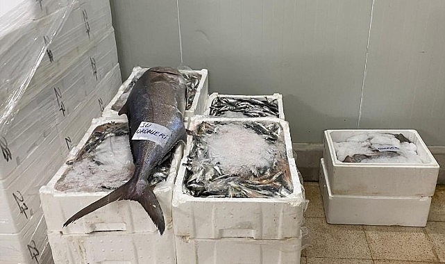 İzmir'de Yasa Dışı Su Ürünleri Ticaretine Geçit Yok