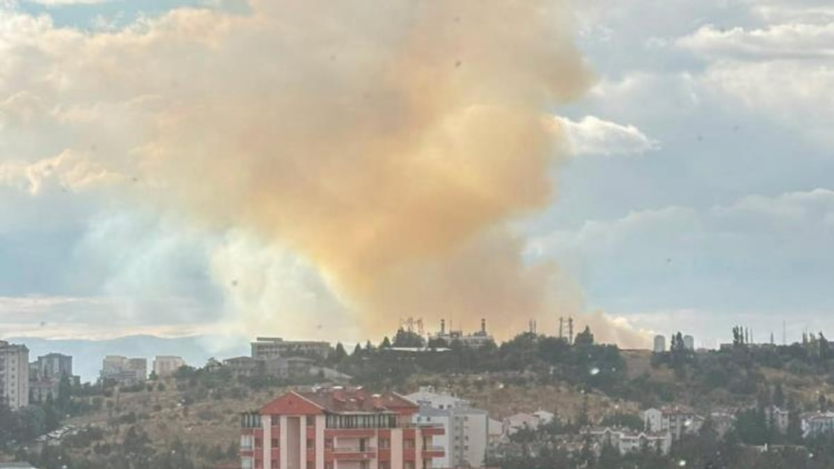 Ankara'da otluk alanda yangın
