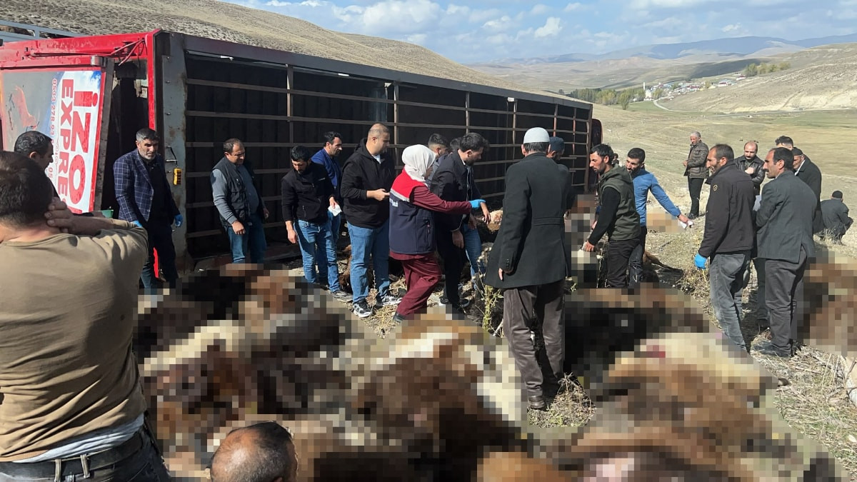Erzurum’da devrilen tırda 130 küçükbaş hayvan telef oldu