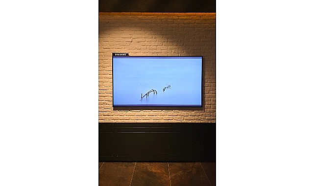 Samsung, Artweeks Istanbul'da sanatı ekran teknolojileriyle buluşturuyor